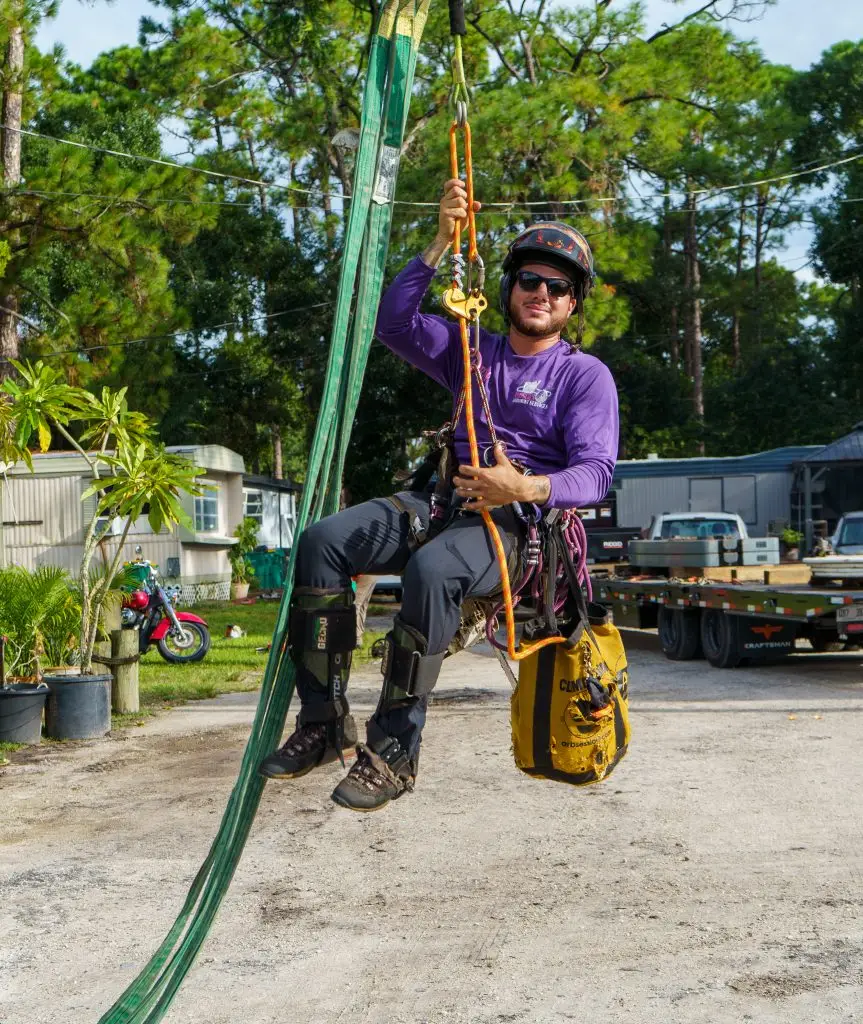 Ranger Tree Care climber suspended in his climbing harness and rigging at a job site