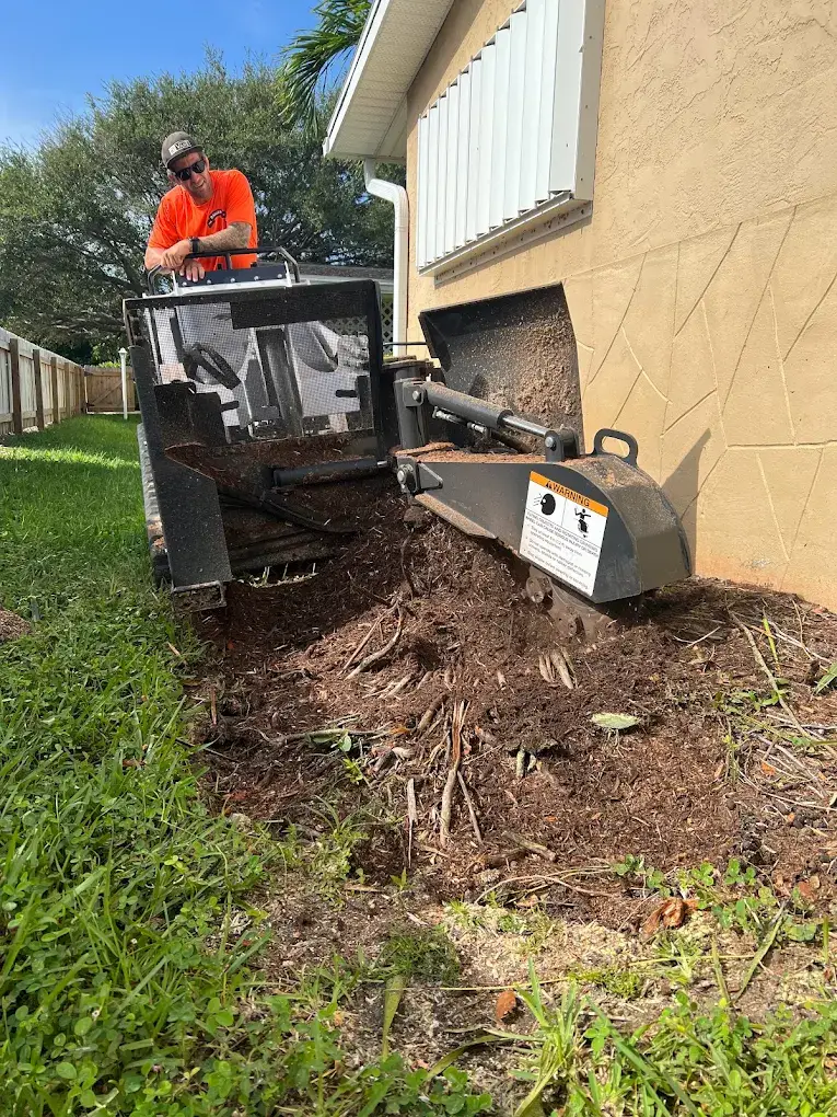 Ranger Tree Care operator grinding a stump beside a home